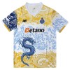 Fodboldtøj FC Porto Dragon Special Edition 2025-26