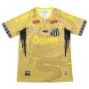 Fodboldtøj Santos FC Dragon 2025-26 Gul