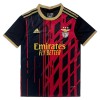 Fodboldtøj Benfica Special Edition 2025-26