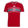 Fodboldtøj Wales Hjemmebanetrøje VM 2026