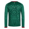 Fodboldtøj Mexico Hjemmebanetrøje VM 2026 (L/Æ)