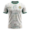 Fodboldtøj Senegal Hjemmebanetrøje VM 2026