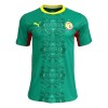 Fodboldtøj Senegal Udebanetrøje VM 2026
