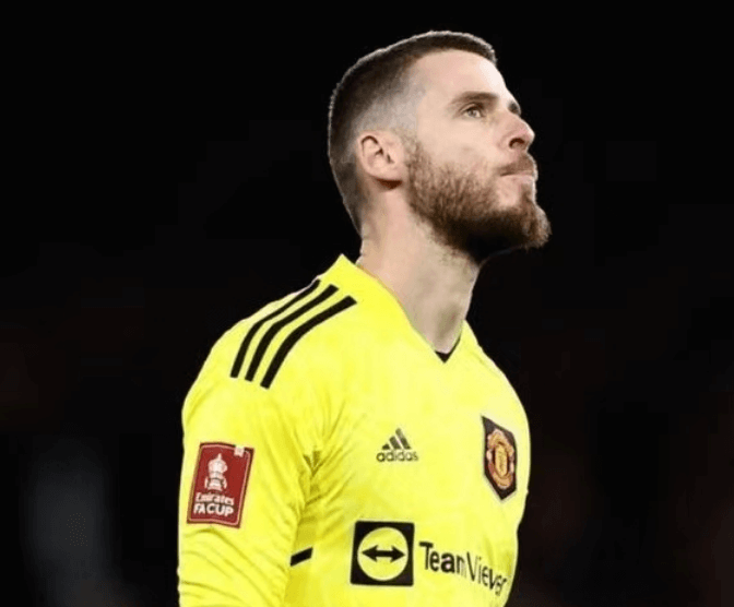 De Gea byder velkommen til et nyt kapitel i karrieren